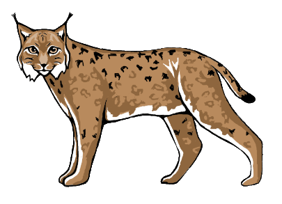 Решение рисунок 1